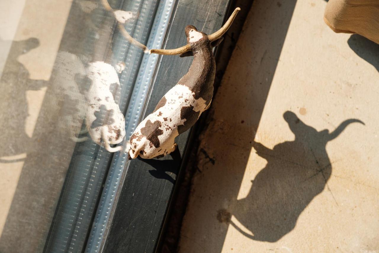 Bed&Bbq Longhornranch Apartment Akersloot Bagian luar foto